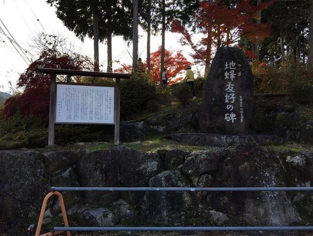 マレットハウスへの瀬戸の人さんのレビュー写真