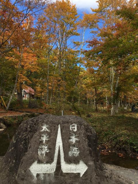 ひるがの分水嶺公園へのマロンさんのレビュー写真