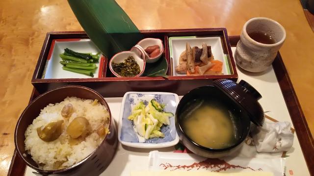 満天星一休 苗木店へのめるさんのレビュー写真