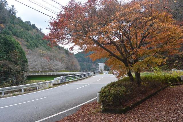 佐見川峡へのレッツなシニアさんのレビュー写真