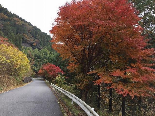串原の七つの滝への瀬戸の人さんのレビュー写真