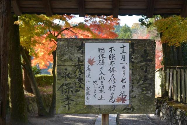 虎渓山 永保寺へのレッツなシニアさんのレビュー写真