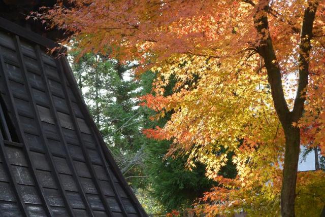 虎渓山 永保寺へのレッツなシニアさんのレビュー写真