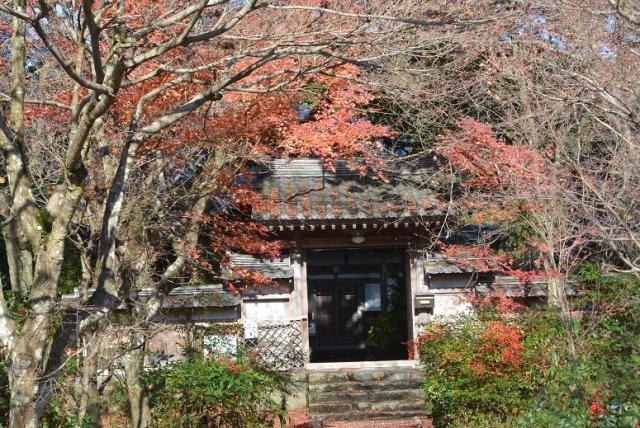 円興寺へのレッツなシニアさんのレビュー写真