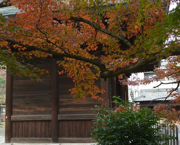 貞照寺へのレッツなシニアさんのレビュー写真