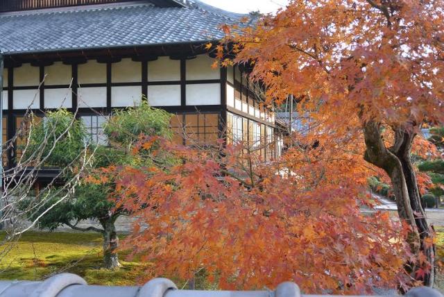 虎渓山 永保寺へのレッツなシニアさんのレビュー写真