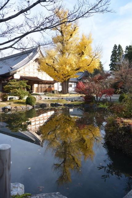 虎渓山 永保寺へのレッツなシニアさんのレビュー写真