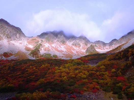 涸沢岳へのにしこさんのレビュー写真