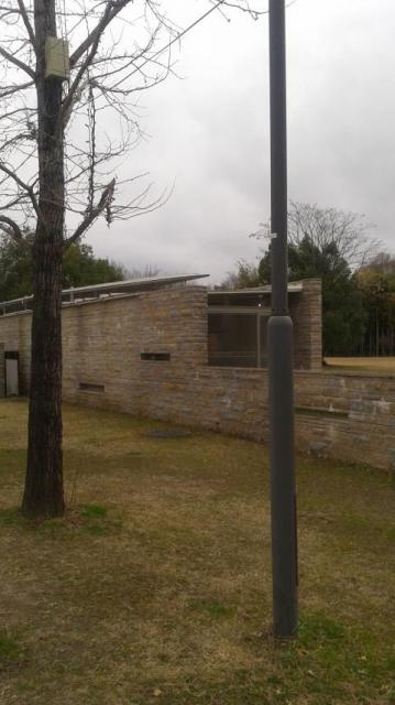 学びの森プロムナードへのポニョさんのレビュー写真