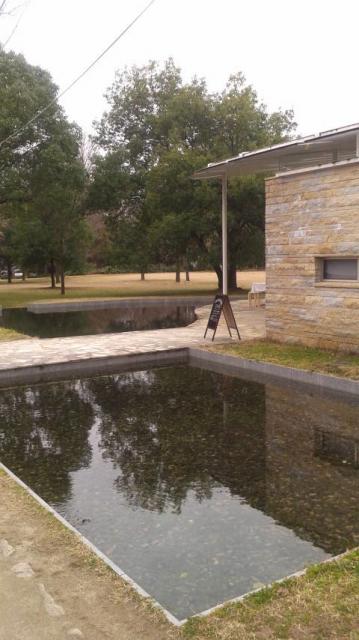 学びの森プロムナードへのポニョさんのレビュー写真