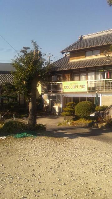 吉川養鶏 COCCOPURIOのレポート写真5（ポニョ）