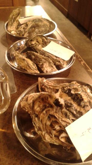 百蔵食堂 名鉄岐阜駅前店へのポニョさんのレビュー写真