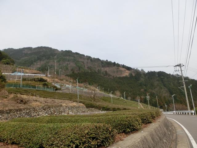 春日上ヶ流 御所の馬場(天空の茶畑)へのレッツなミドルさんのレビュー写真