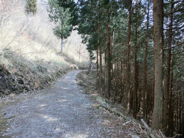 春日上ヶ流 御所の馬場(天空の茶畑)へのレッツなミドルさんのレビュー写真