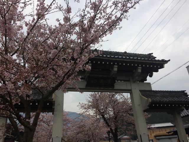谷汲山 華厳寺のレポート写真1（ラッキールーラーじゃん）