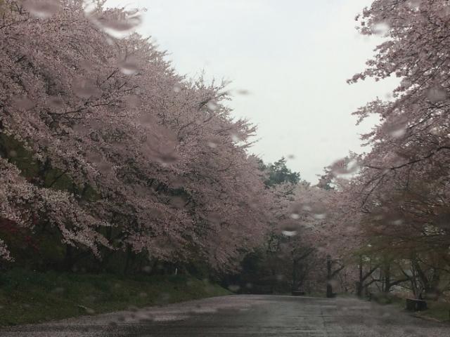 竹中公園へのラッキールーラーじゃんさんのレビュー写真