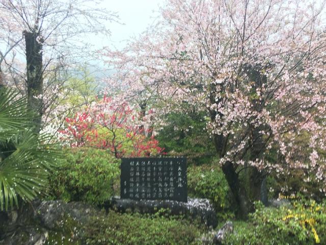 天皇林公園へのラッキールーラーじゃんさんのレビュー写真