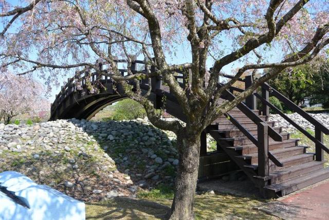 前渡猿尾提へのレッツなシニアさんのレビュー写真