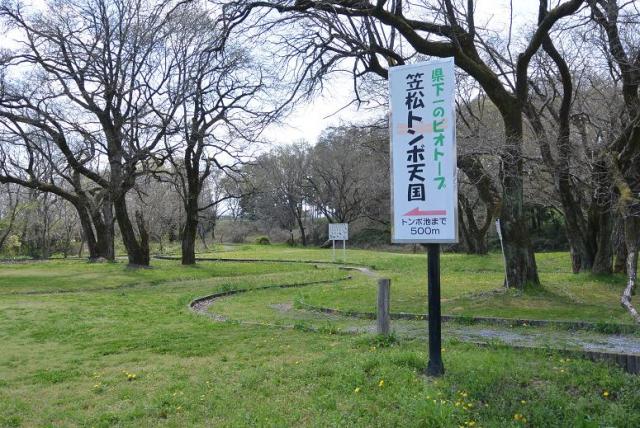 笠松トンボ天国へのレッツなシニアさんのレビュー写真