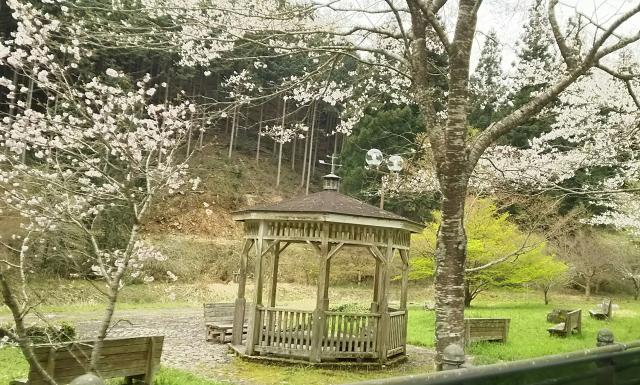 寺尾ヶ原千本桜公園へのめるさんのレビュー写真