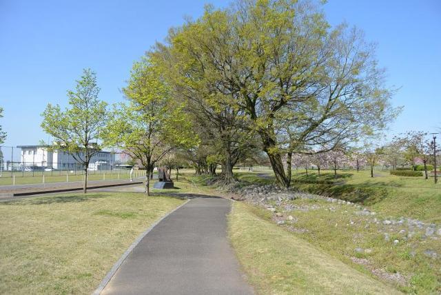 前渡の渡しへのレッツなシニアさんのレビュー写真