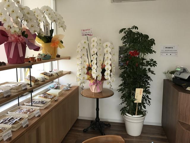 パティスリー ニコリスへの瀬戸の人さんのレビュー写真