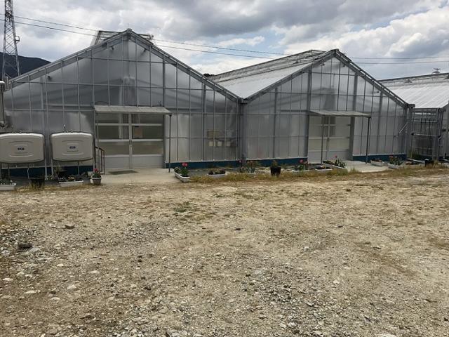 馥郁農園への瀬戸の人さんのレビュー写真