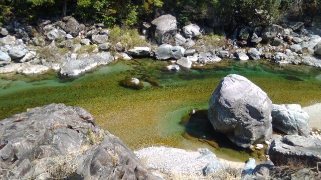 清流川魚料理 徳兵衛茶屋のレポート写真4（えころん）