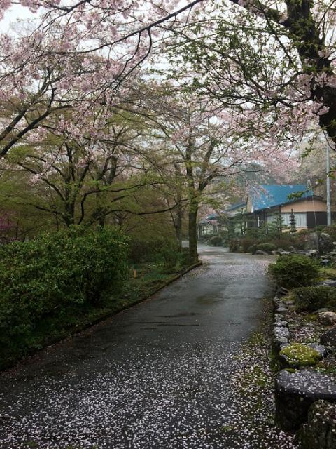 天皇林公園へのラッキールーラーじゃんさんのレビュー写真