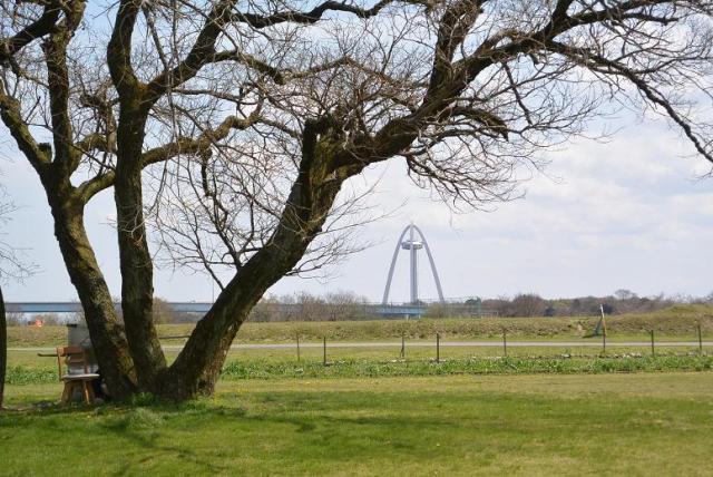 笠松トンボ天国へのレッツなシニアさんのレビュー写真