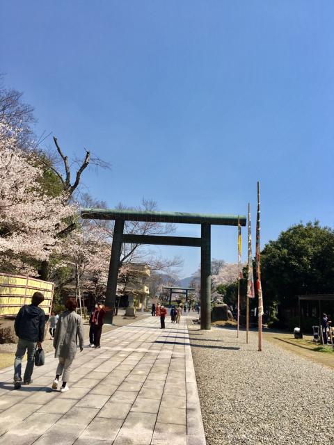 岐阜護國神社のレポート写真5（マロン）