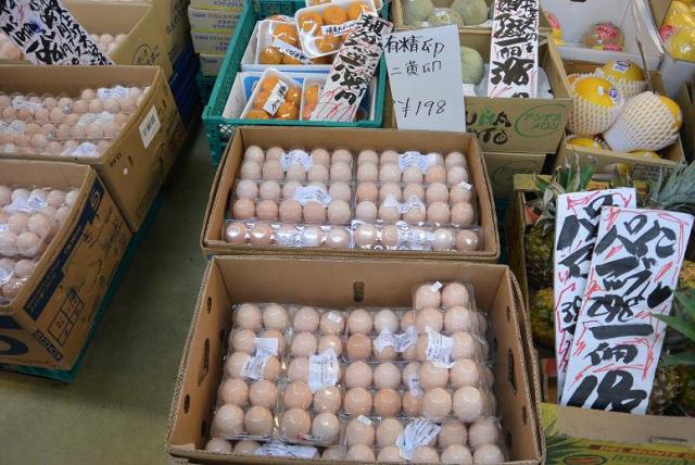 後藤食品のレポート写真2（レッツなシニア）