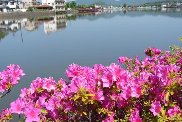苧ヶ瀬池へのレッツなシニアさんのレビュー写真