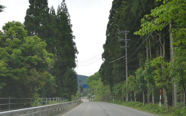 せせらぎ街道のレポート写真4（レッツなシニア）