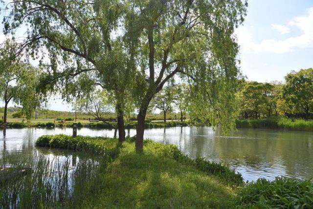 河川環境楽園 自然発見館へのレッツなシニアさんのレビュー写真