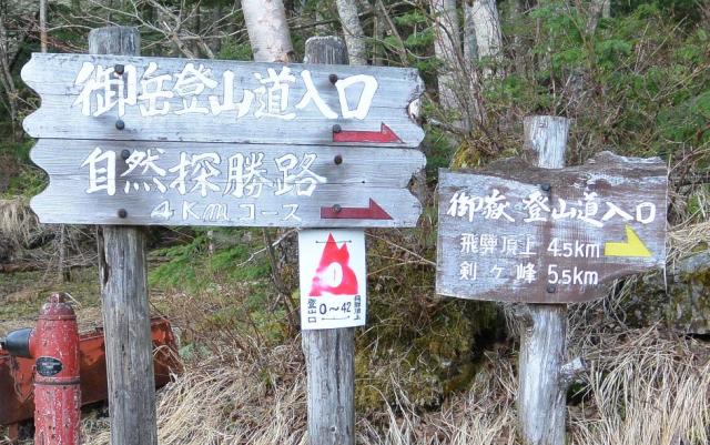 小坂の滝めぐり　仙人滝コースへのレッツなシニアさんのレビュー写真