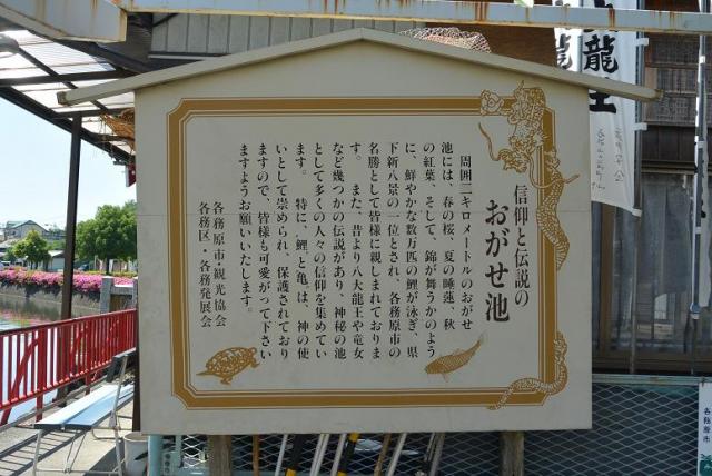 苧ヶ瀬池へのレッツなシニアさんのレビュー写真