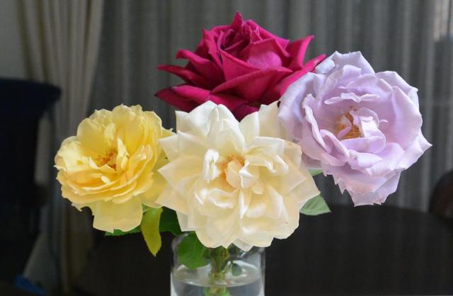 大野町バラ公園へのレッツなシニアさんのレビュー写真