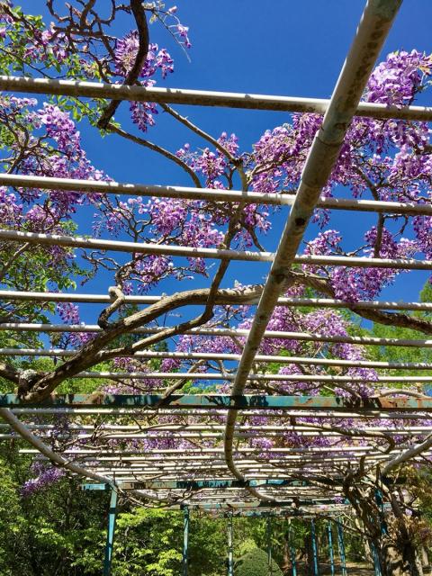 めい想の森へのマロンさんのレビュー写真