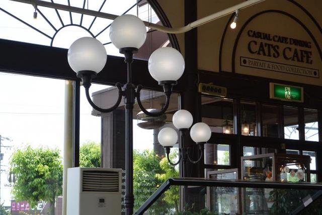 キャッツカフェ  各務原店へのレッツなシニアさんのレビュー写真