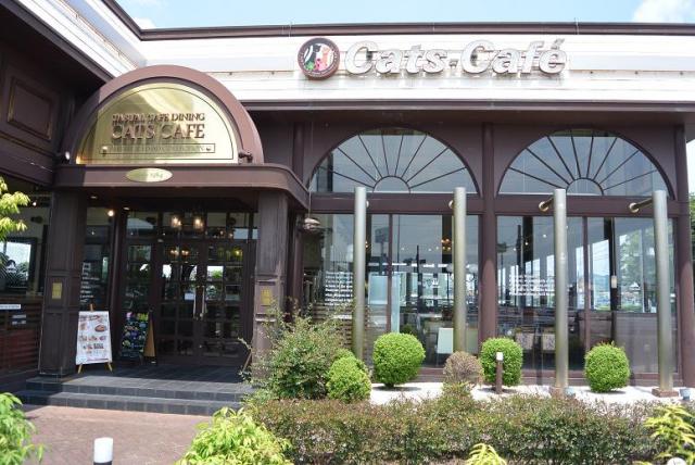 キャッツカフェ  各務原店へのレッツなシニアさんのレビュー写真