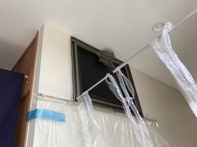 麺屋 神への瀬戸の人さんのレビュー写真