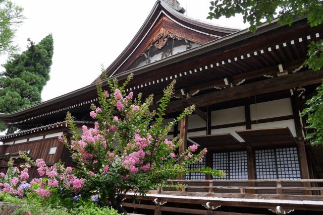 円光寺へのえころんさんのレビュー写真
