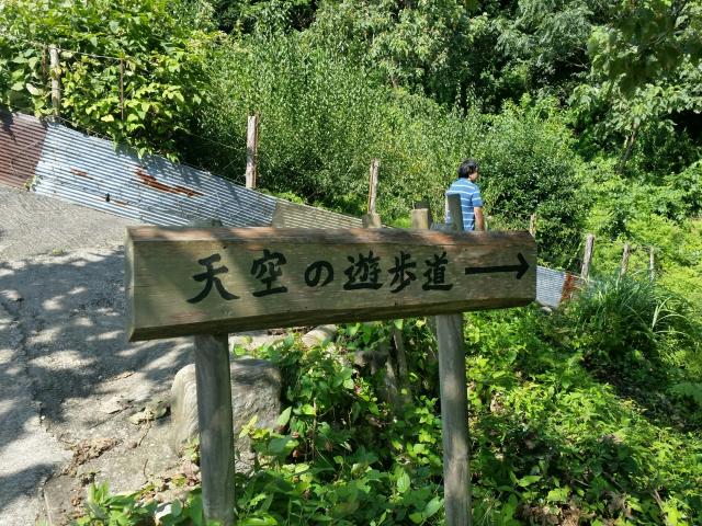 天空の茶畑へのにしこさんのレビュー写真