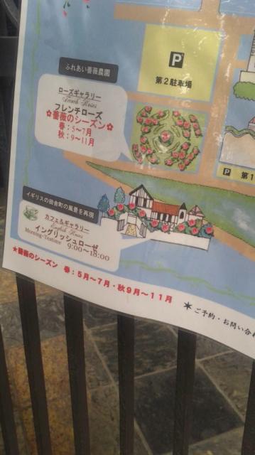 薔薇舘 イングリッシュ・ローゼのレポート写真4（ポニョ）