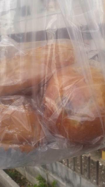 noelへのポニョさんのレビュー写真