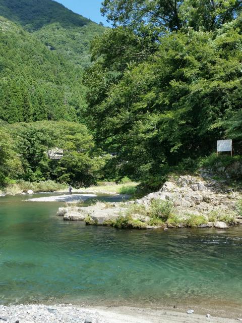 坂内やな(清流荘)へのにしこさんのレビュー写真