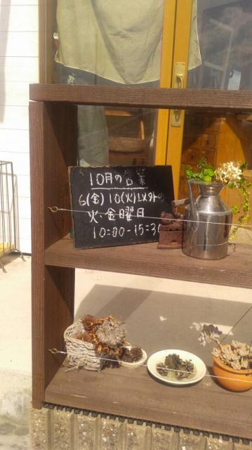 noelへのポニョさんのレビュー写真