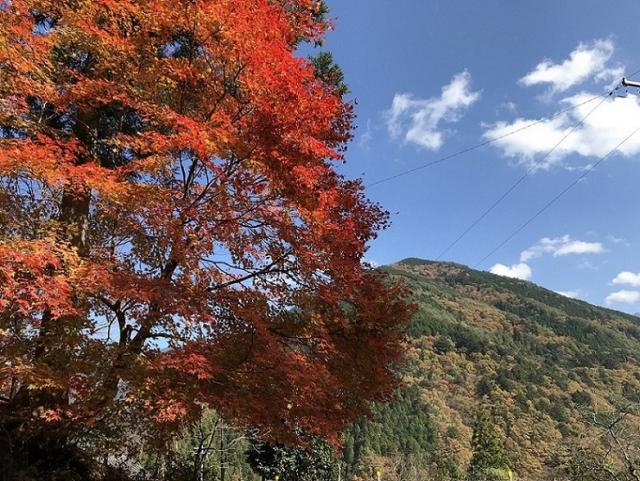 渡合温泉旅館 ランプの宿への瀬戸の人さんのレビュー写真