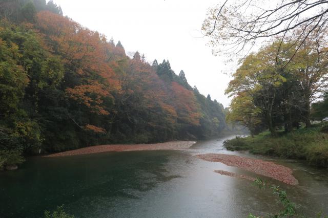 清兵衛淵へのみずほのトヤマさんのレビュー写真